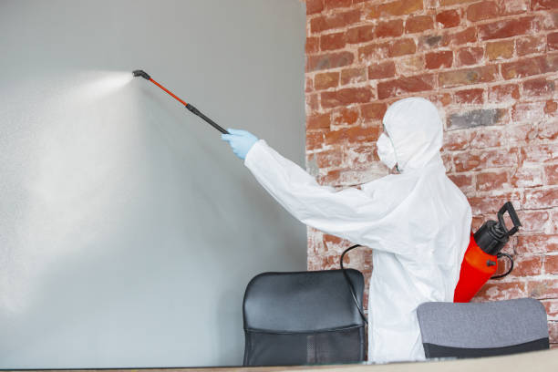 Best Comprehensive Air Testing for Mold Contaminants  in Canton, GA
