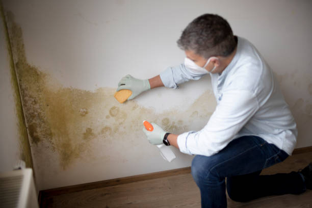 Best Mold Documentation for Insurance Claims  in Canton, GA